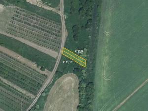 Prodej pole, Moravská Nová Ves, 5711 m2