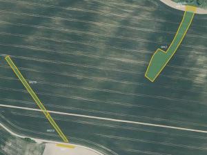 Prodej pole, Hoštice, 17754 m2