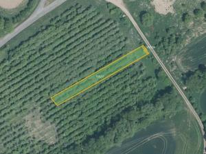 Prodej pole, Hoštice, 17754 m2