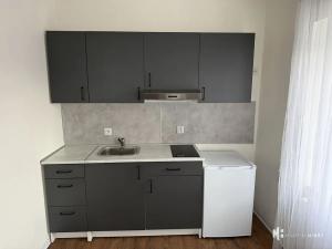 Pronájem bytu 1+kk, Praha - Dubeč, Starodubečská, 22 m2