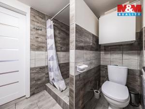 Prodej rodinného domu, Želízy - Sitné, 480 m2