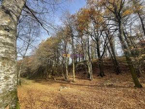 Prodej louky, Popovičky, 1643 m2