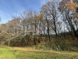 Prodej louky, Popovičky, 1643 m2