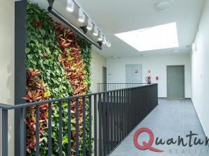 Pronájem bytu 2+kk, Praha - Dejvice, U Matěje, 57 m2