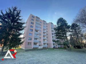 Pronájem bytu 2+1, Vyškov, Puškinova, 46 m2