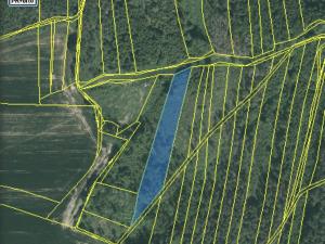 Prodej lesa, Blížejov - Lštění, 4481 m2