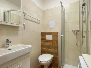 Pronájem bytu 1+kk, Brno, Francouzská, 18 m2