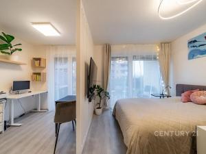 Pronájem bytu 1+kk, Praha - Chodov, Šternovská, 34 m2