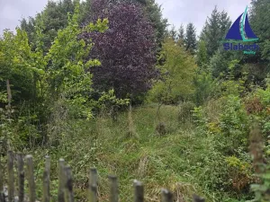 Prodej chaty, Seč, 60 m2