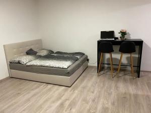 Pronájem bytu 1+kk, Brno, Křenová, 30 m2