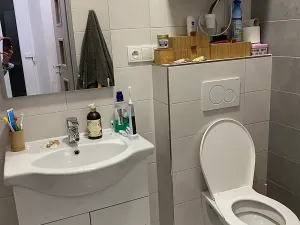 Pronájem bytu 1+kk, Brno, Křenová, 30 m2