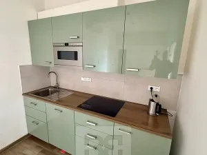 Pronájem bytu 2+1, Praha - Staré Město, Revoluční, 58 m2