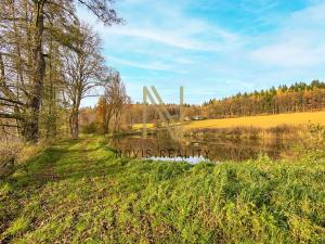 Prodej rybníku, Týnec, 2713 m2