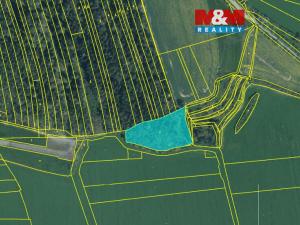 Prodej lesa, Koloveč, 13001 m2