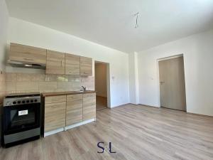 Pronájem bytu 1+1, Nový Bor, Riegrova, 30 m2