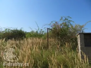 Dražba zahrady, Grunta, 901 m2