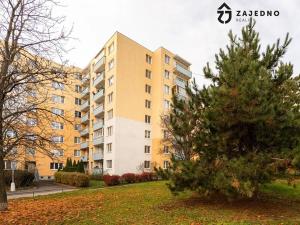 Pronájem bytu 1+1, Brno, Hochmanova, 39 m2