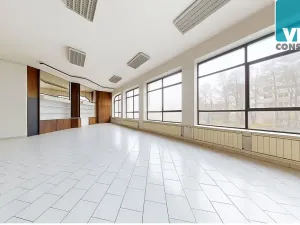 Pronájem obchodního prostoru, Litomyšl, Kpt. Jaroše, 322 m2