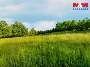 Prodej louky, Jílové u Prahy, 18692 m2