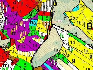 Dražba lesa, Žďárec, 2813 m2