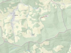 Dražba lesa, Zděchov, 1866 m2