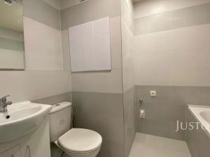 Pronájem bytu 2+1, Teplice, Alejní, 50 m2