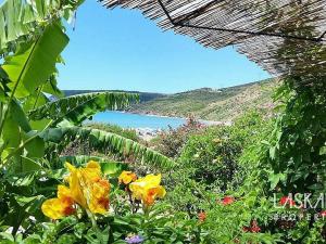 Prodej rodinného domu, Kefalonia, Sami, Erissos, Řecko, 250 m2