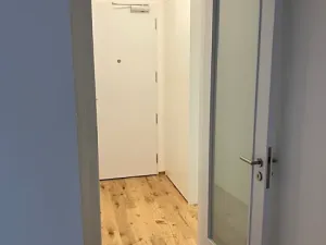 Pronájem bytu 2+kk, Praha - Nusle, Muzikova, 51 m2