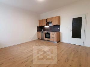 Pronájem bytu 1+kk, Ostrava, Palackého, 26 m2