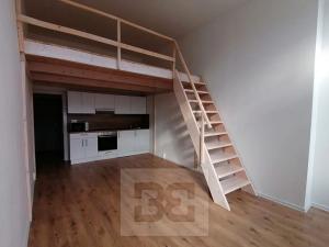 Pronájem bytu 1+kk, Ostrava, Palackého, 30 m2