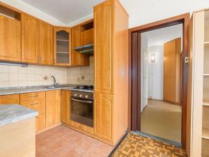 Prodej bytu 2+kk, České Budějovice, V. Volfa, 46 m2