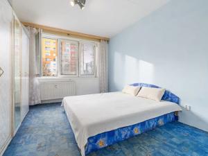 Prodej bytu 2+kk, České Budějovice, V. Volfa, 46 m2