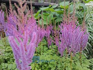 Prodej rodinného domu, Rudník, 245 m2