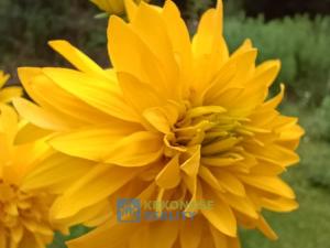 Prodej rodinného domu, Rudník, 245 m2