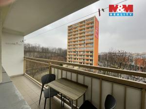 Pronájem bytu 1+1, Teplice, Alejní, 39 m2