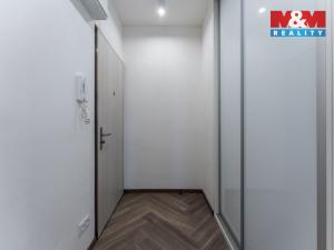 Pronájem bytu 2+kk, Praha - Holešovice, Dělnická, 53 m2