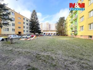 Pronájem bytu 2+1, Litoměřice - Předměstí, Dobrovského, 55 m2