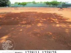 Dražba pole, Brno, 7587 m2