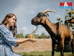 Prodej pozemku pro bydlení, Sušice, 4292 m2