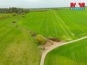 Prodej louky, Olešnice, 730 m2