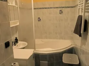 Pronájem bytu 3+1, Liberec, Neklanova, 80 m2