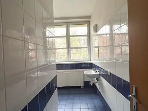 Pronájem obchodního prostoru, Český Těšín, Frýdecká, 160 m2