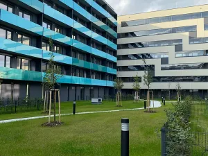 Pronájem bytu 2+kk, Praha - Holešovice, Argentinská, 52 m2