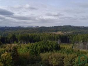 Prodej rodinného domu, Šošůvka, 180 m2