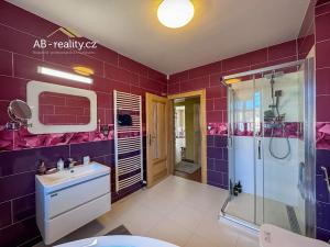 Prodej rodinného domu, Háj u Duchcova, Ke Knížáku, 243 m2