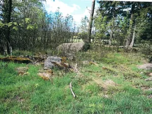 Prodej lesa, Nová Bystřice, 1069 m2