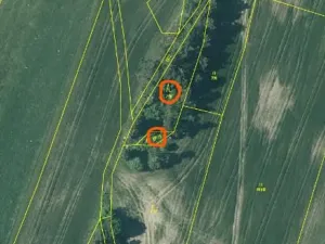 Prodej lesa, Nová Bystřice, 1069 m2