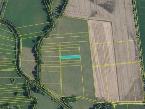 Dražba louky, Skřivany, 1440 m2