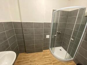 Pronájem bytu 1+1, Město Albrechtice, 37 m2