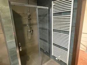 Pronájem rodinného domu, Pardubice, 28. října, 262 m2